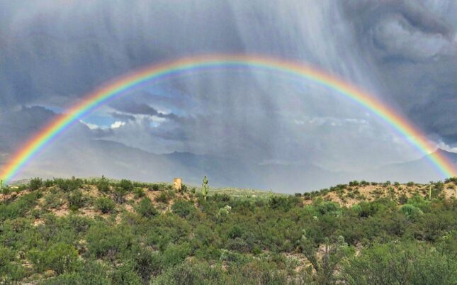 Rainbow