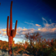 Academy Villas Saguaro